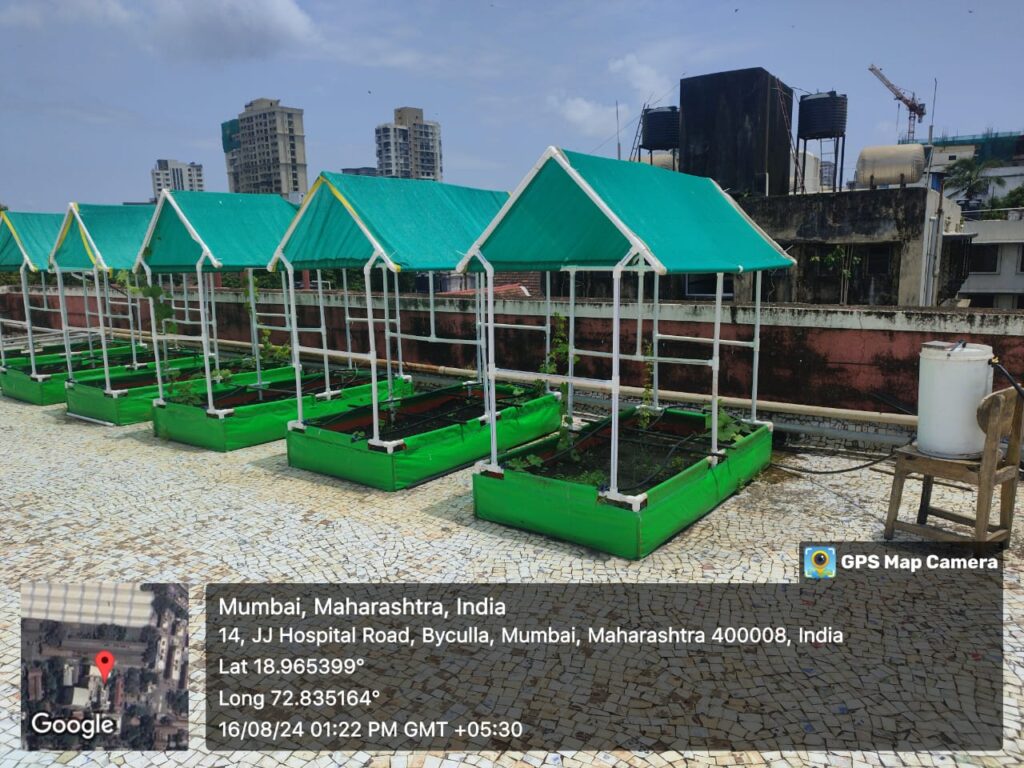 WhatsApp-Image-2024-09-03-at-12.08.51-PM-1024x768