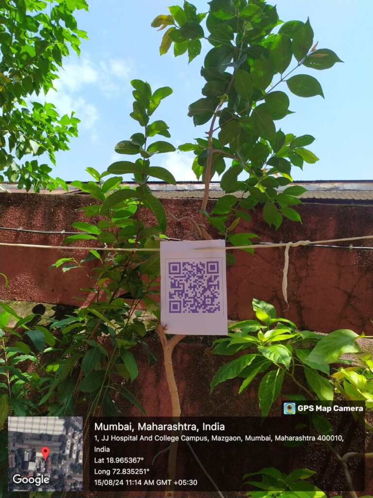 WhatsApp-Image-2024-09-03-at-12.08.52-PM-768x1024